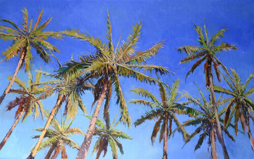 Coconut Palms From Hawaii Suren Nersisyan
