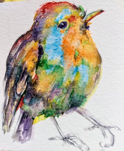 Colorful bird Daniela Vasileva