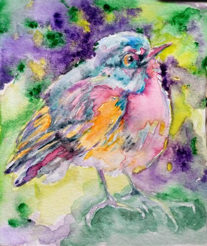Colorful bird Daniela Vasileva